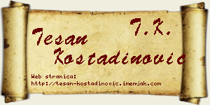 Tešan Kostadinović vizit kartica